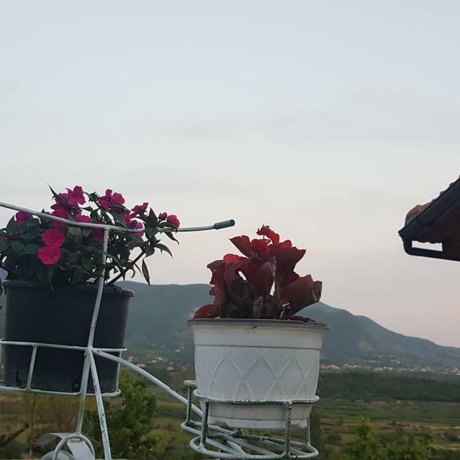 Hylli I Drites Bauernhof Lezhë
