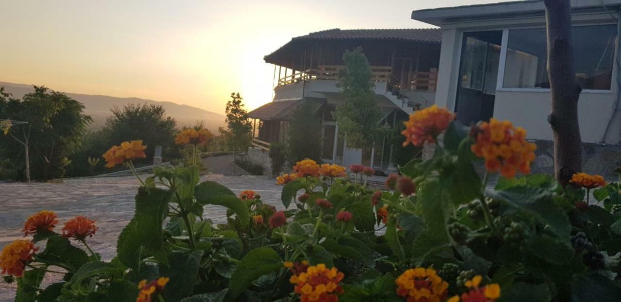 Hylli I Drites Bauernhof Lezhë